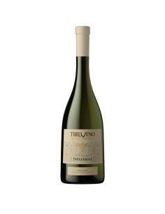 TBILVINO - TSINANDALI 2022